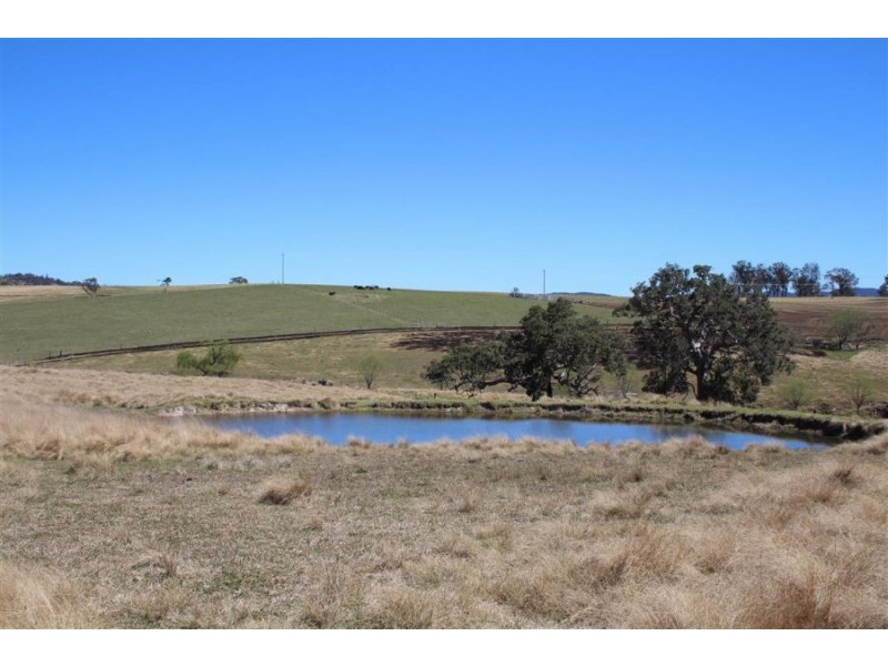 157 Nutshell Road, Tenterfield NSW 2372
