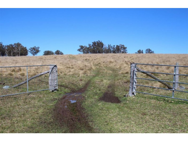 157 Nutshell Road, Tenterfield NSW 2372