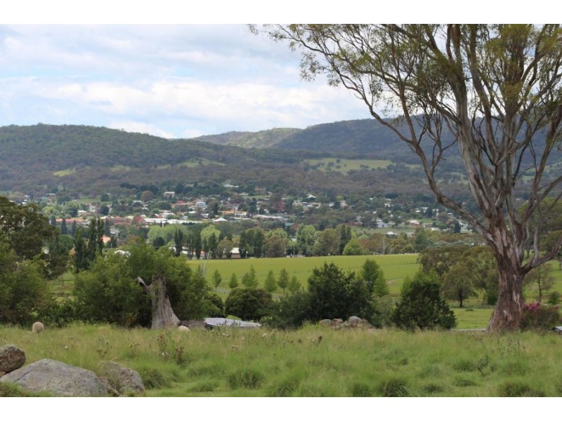 132 Sunnyside Loop Road, Tenterfield NSW 2372