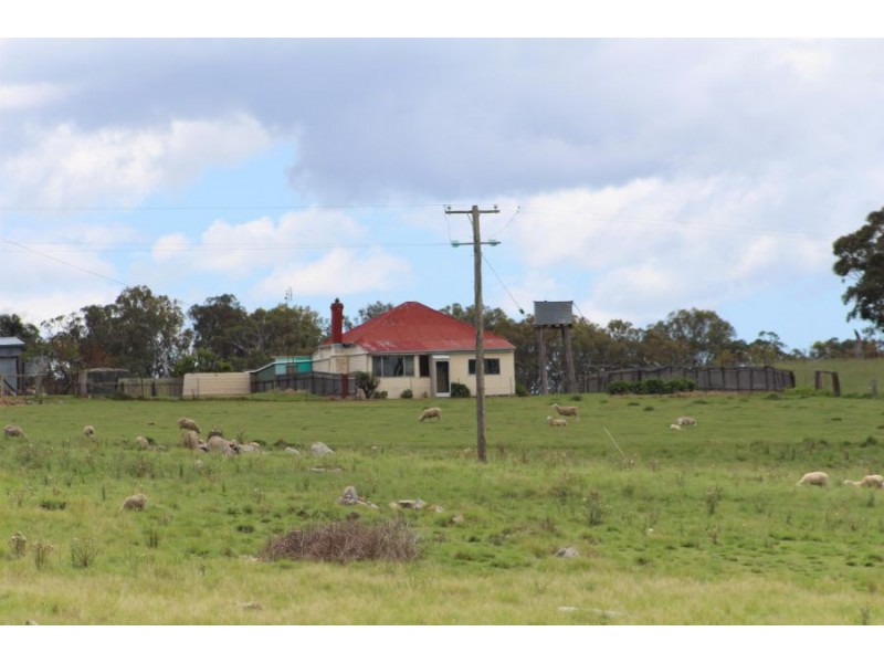 132 Sunnyside Loop Road, Tenterfield NSW 2372