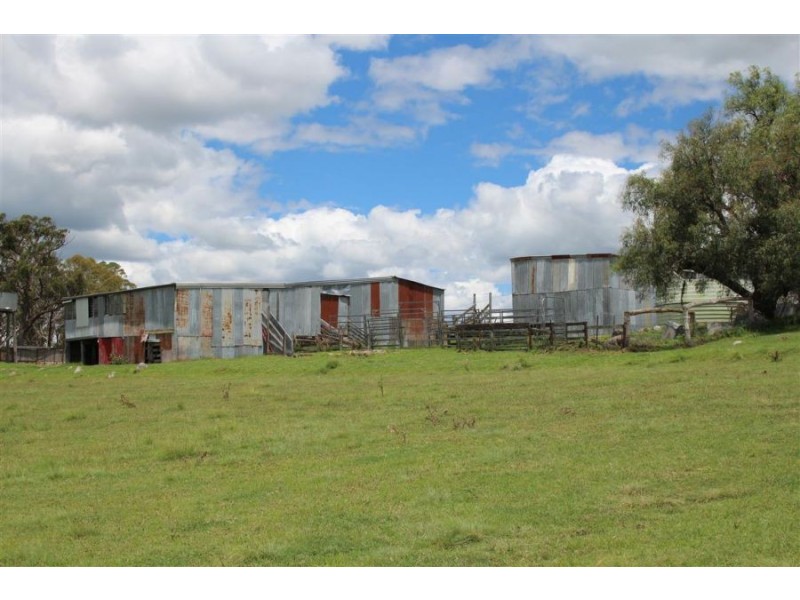 132 Sunnyside Loop Road, Tenterfield NSW 2372