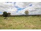 132 Sunnyside Loop Road, Tenterfield NSW 2372