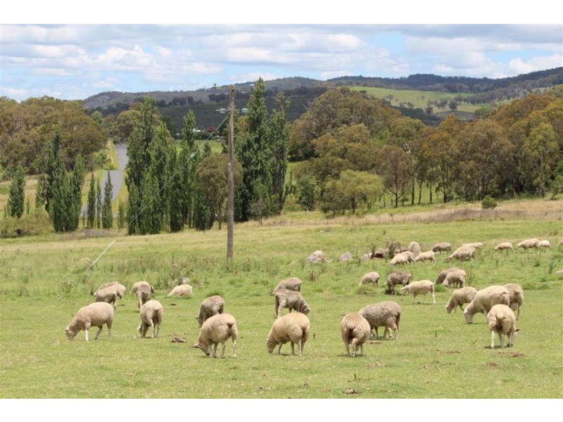 132 Sunnyside Loop Road, Tenterfield NSW 2372