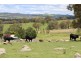 132 Sunnyside Loop Road, Tenterfield NSW 2372