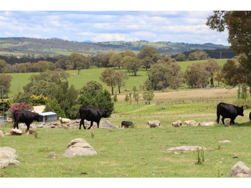 132 Sunnyside Loop Road, Tenterfield NSW 2372