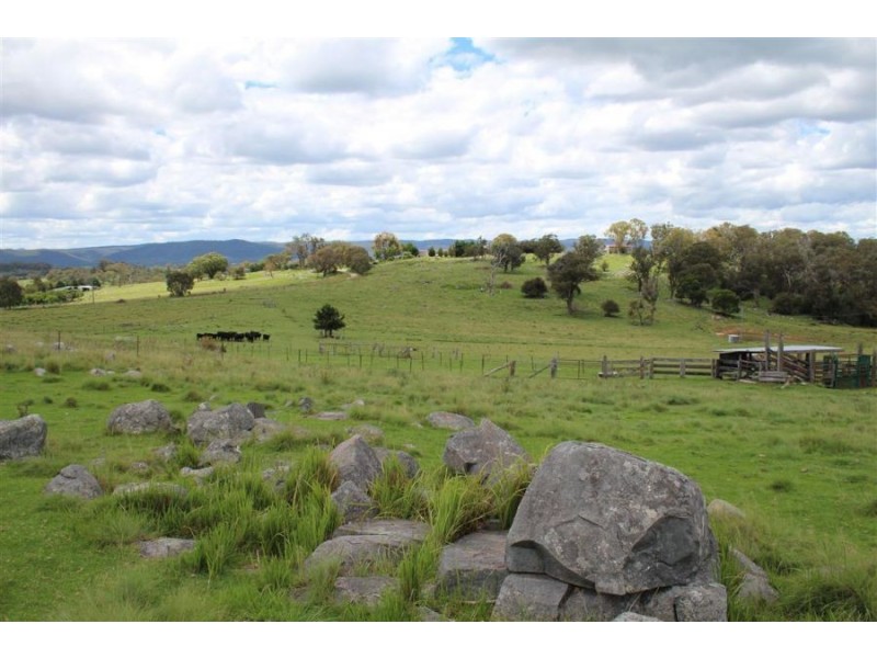 132 Sunnyside Loop Road, Tenterfield NSW 2372