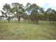615 Sandy Flat Road, Tenterfield NSW 2372