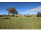 155 Millers Lane, Tenterfield NSW 2372