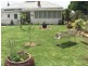 181 Manners Street, Tenterfield NSW 2372