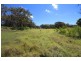 796 New England Highway, Tenterfield NSW 2372