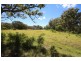 796 New England Highway, Tenterfield NSW 2372