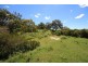 796 New England Highway, Tenterfield NSW 2372
