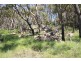 796 New England Highway, Tenterfield NSW 2372