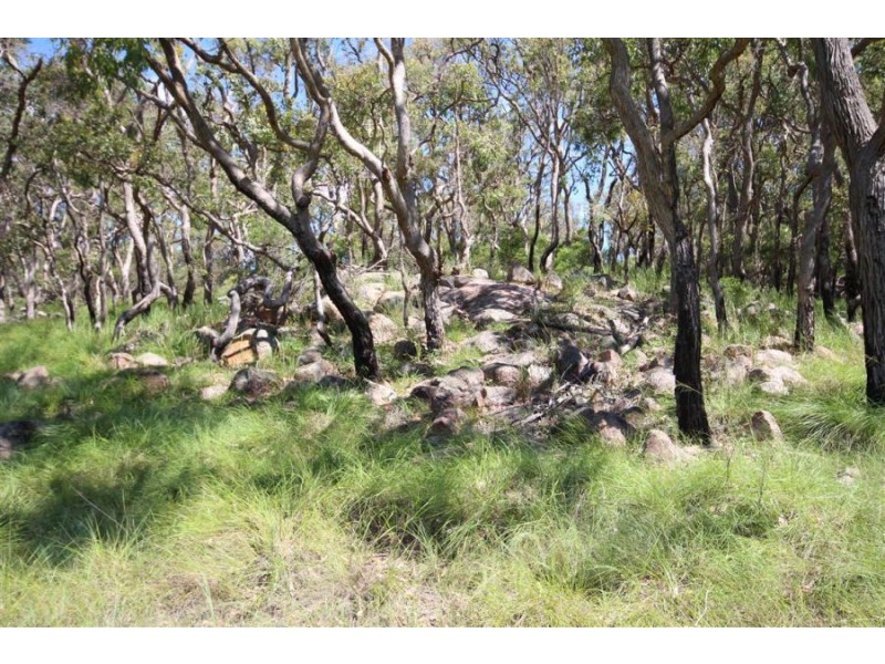 796 New England Highway, Tenterfield NSW 2372