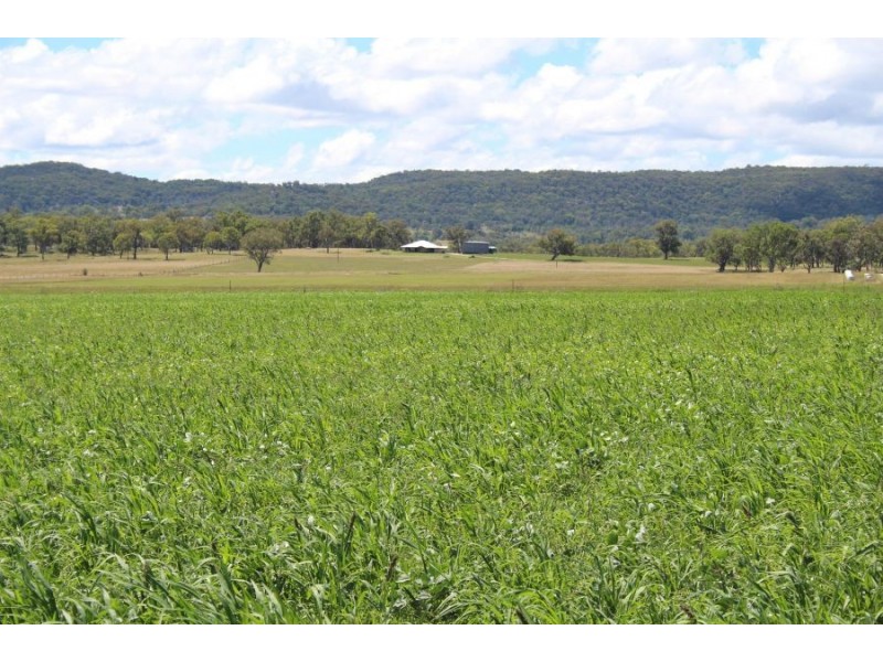 964 Bruxner Highway, Tenterfield NSW 2372