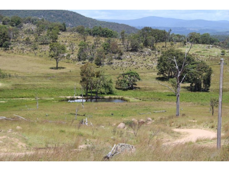 1759b Mount Mackenzie Road, Tenterfield NSW 2372