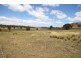 1759b Mount Mackenzie Road, Tenterfield NSW 2372