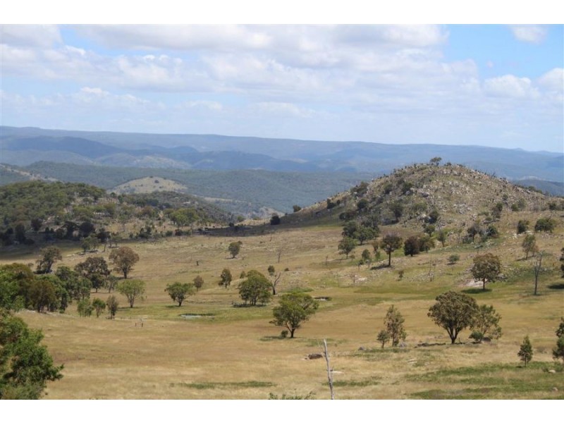 1759b Mount Mackenzie Road, Tenterfield NSW 2372