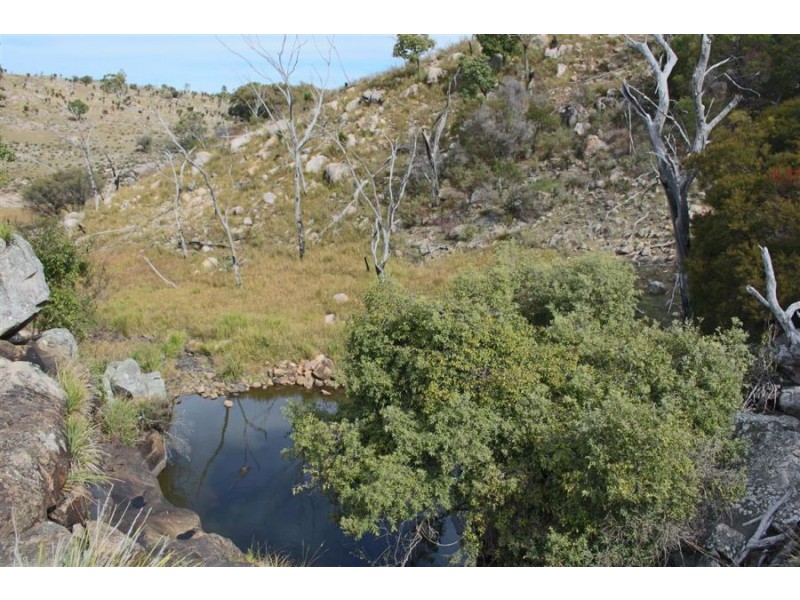 1759b Mount Mackenzie Road, Tenterfield NSW 2372