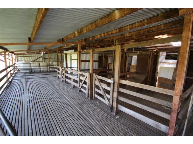 1759b Mount Mackenzie Road, Tenterfield NSW 2372