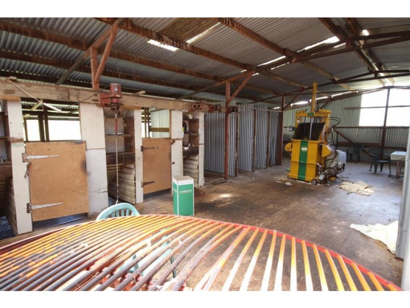 1759b Mount Mackenzie Road, Tenterfield NSW 2372