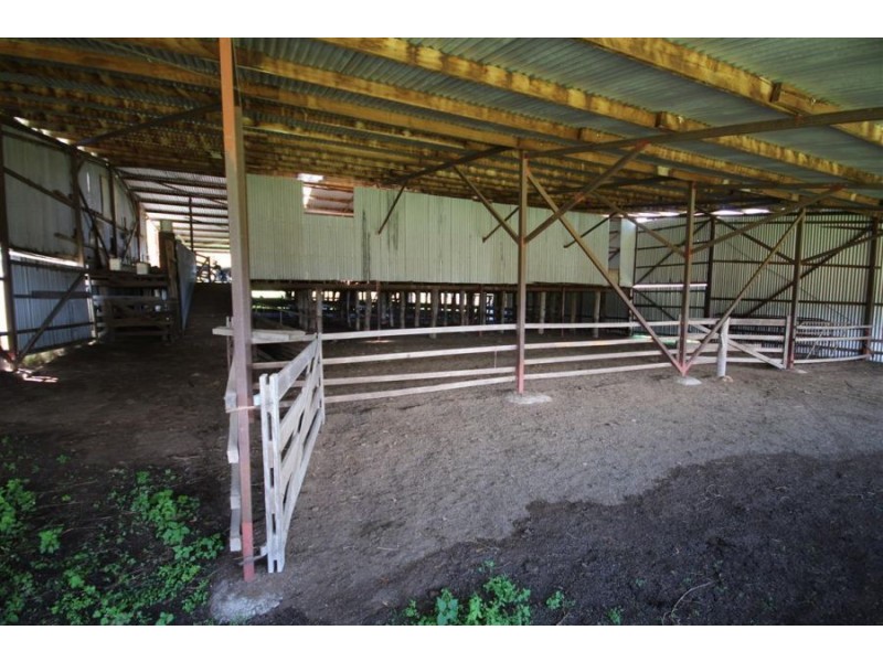 1759b Mount Mackenzie Road, Tenterfield NSW 2372