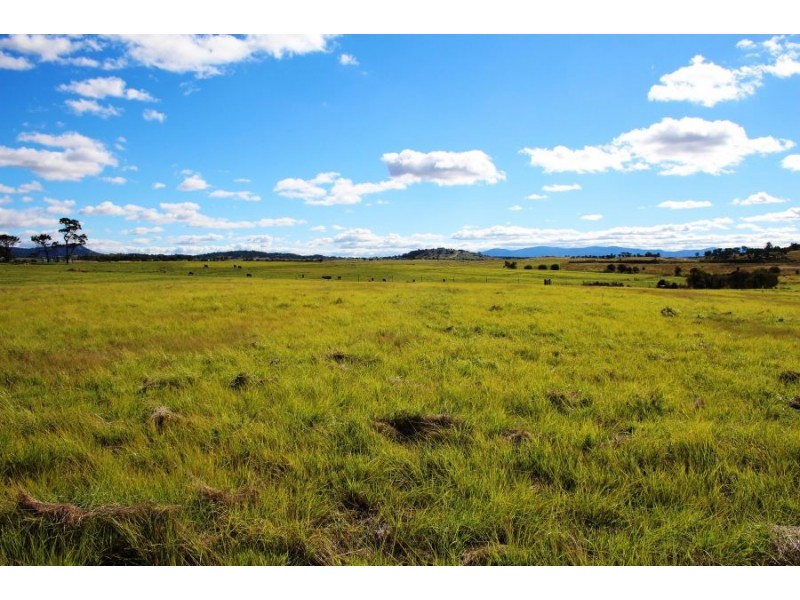 Lots 1 & 2 Cullen Street, Tenterfield NSW 2372