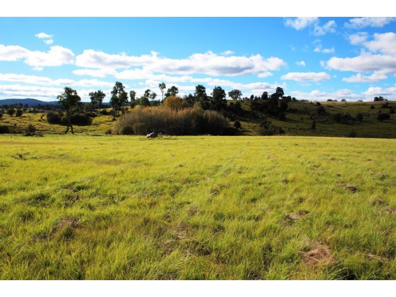 Lots 1 & 2 Cullen Street, Tenterfield NSW 2372