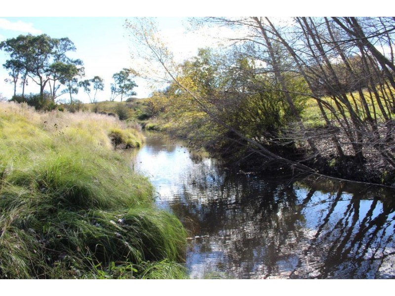 Lots 1 & 2 Cullen Street, Tenterfield NSW 2372