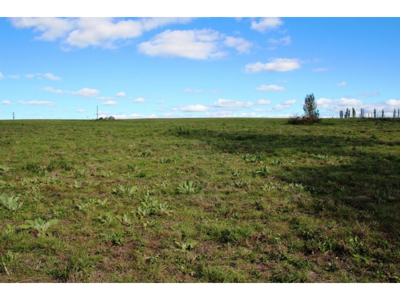 Lots 1 & 2 Cullen Street, Tenterfield NSW 2372