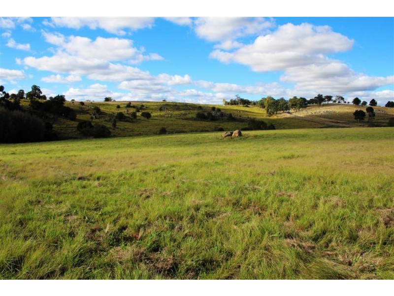 Lots 1 & 2 Cullen Street, Tenterfield NSW 2372