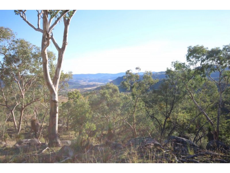 1303 Woodside Road, Tenterfield NSW 2372