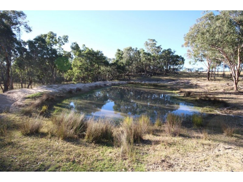 1303 Woodside Road, Tenterfield NSW 2372