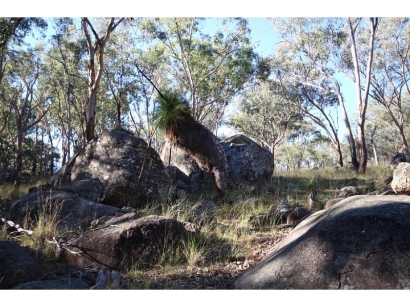 1303 Woodside Road, Tenterfield NSW 2372