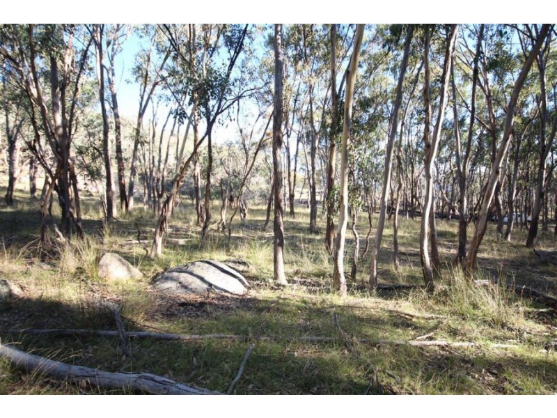 1303 Woodside Road, Tenterfield NSW 2372