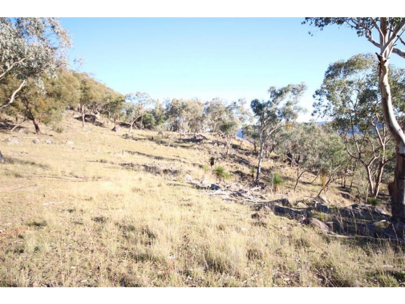 1303 Woodside Road, Tenterfield NSW 2372