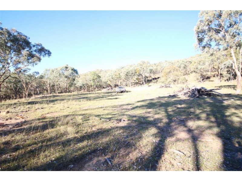1303 Woodside Road, Tenterfield NSW 2372