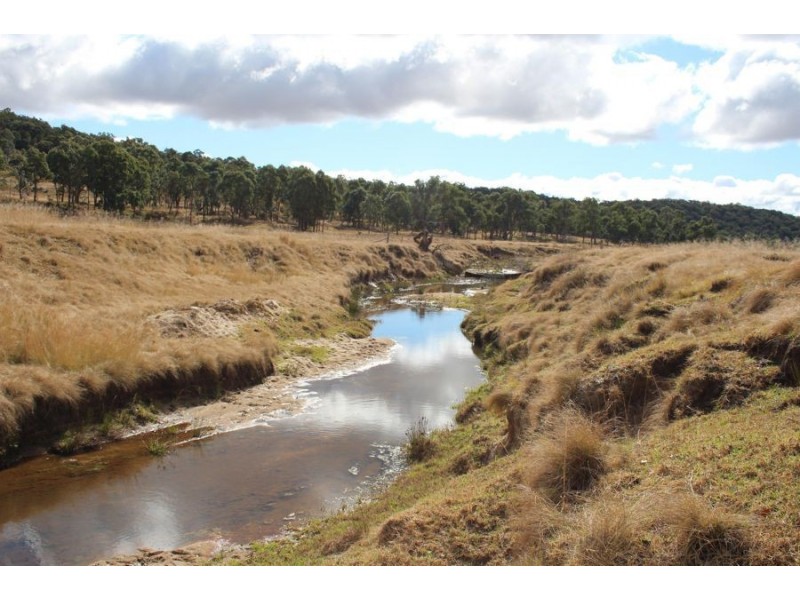 8781 New England Highway, Tenterfield NSW 2372