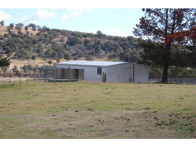 8781 New England Highway, Tenterfield NSW 2372