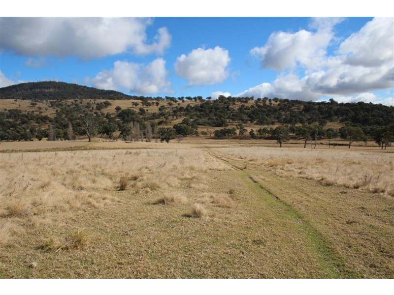 8781 New England Highway, Tenterfield NSW 2372