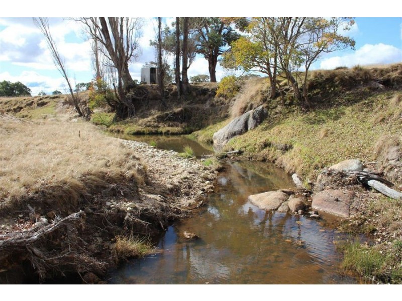 8781 New England Highway, Tenterfield NSW 2372