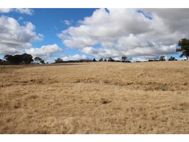 8781 New England Highway, Tenterfield NSW 2372