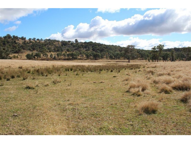 8781 New England Highway, Tenterfield NSW 2372