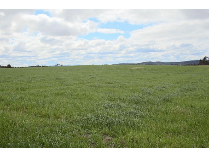 264 Carrot Farm Road, Deepwater NSW 2371