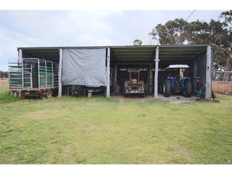 264 Carrot Farm Road, Deepwater NSW 2371