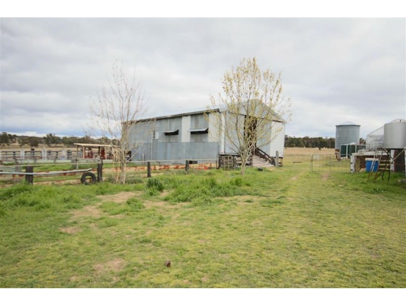 264 Carrot Farm Road, Deepwater NSW 2371
