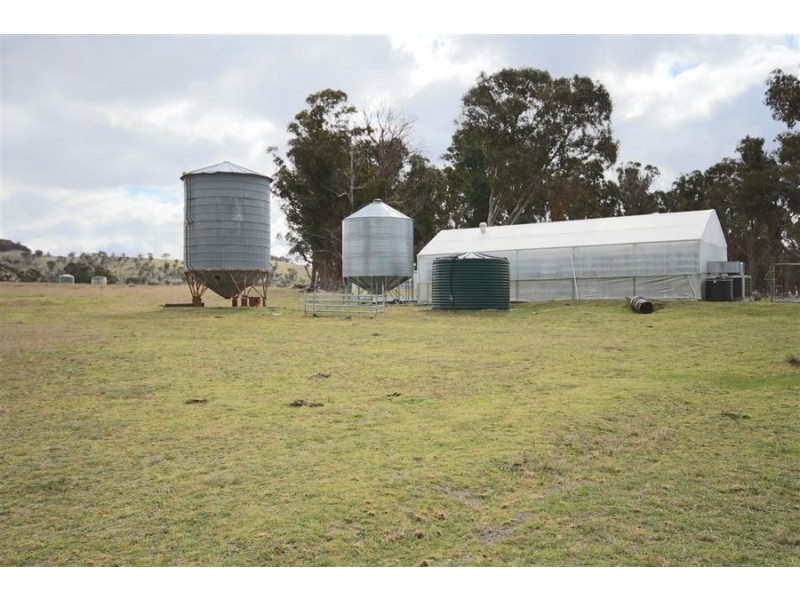 264 Carrot Farm Road, Deepwater NSW 2371