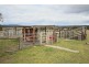 264 Carrot Farm Road, Deepwater NSW 2371
