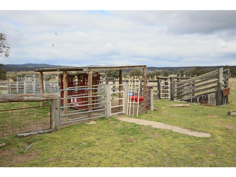 264 Carrot Farm Road, Deepwater NSW 2371