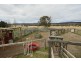 264 Carrot Farm Road, Deepwater NSW 2371